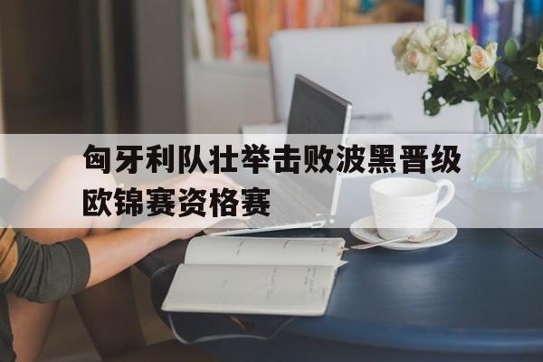 匈牙利队壮举击败波黑晋级欧锦赛资格赛