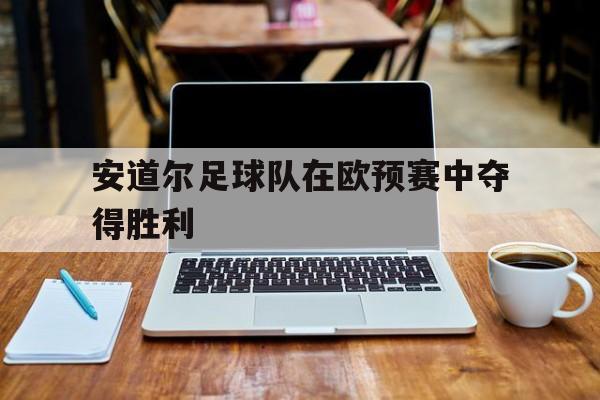 安道尔足球队在欧预赛中夺得胜利